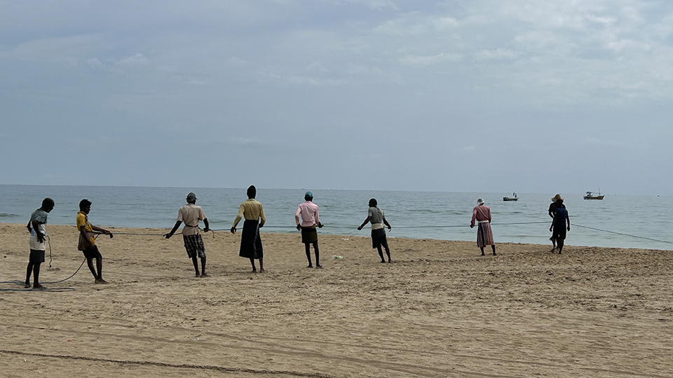 A line of eight fishermen hauling a rope on a beach
