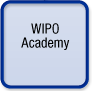 WIPO Academy