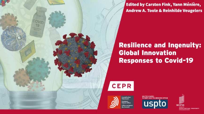 Resilience in Face of the Covid-19 Crisis