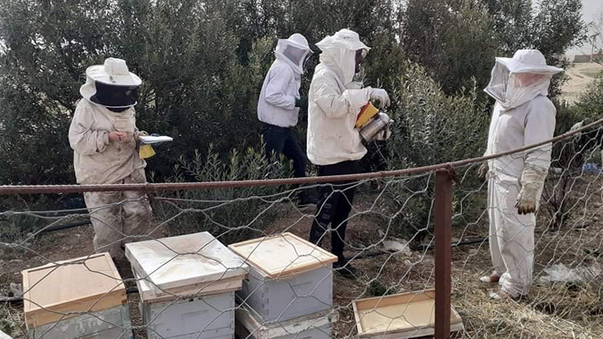 wao-2022-news0003-1-845