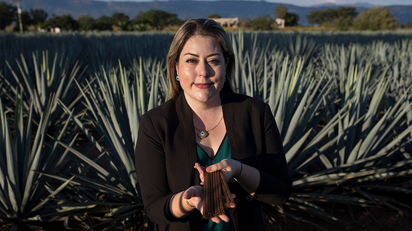 Ana Laborde in an agave field with some of the bioplastic straws produced in collaboration with Jose Cuervo