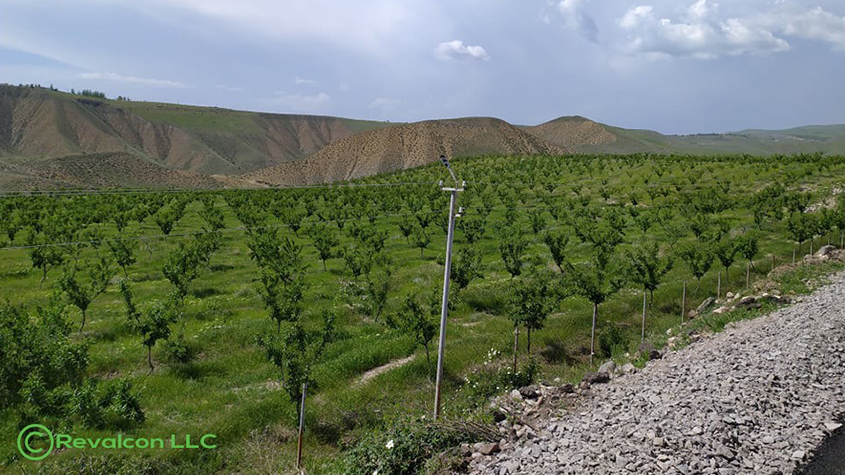 Smart irrigation of an almond farm in Armenia with the Revalcon smart watering system