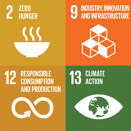 Sustainable development goals 2, 9, 12 and 13