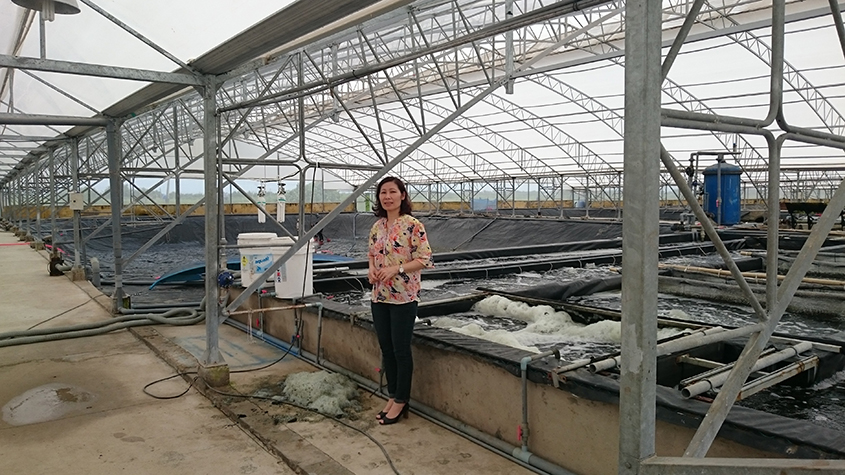 Hà standing next to a large, covered row of shrimp ponds