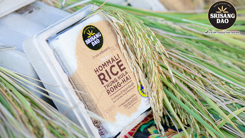 : A packet of Srisangdao rice in a packaging box made of rice chaff, with a bunch of rice paddy on the side