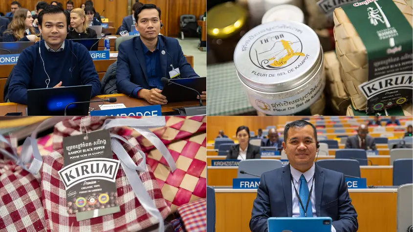 Photos at WIPO-related activities