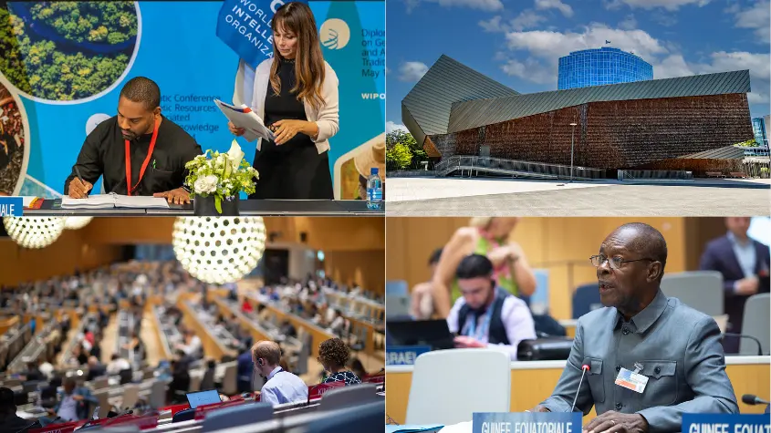 Photos at WIPO-related activities