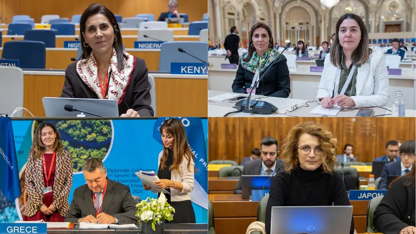 Photos at WIPO-related activities