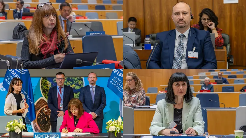 Photos at WIPO-related activities
