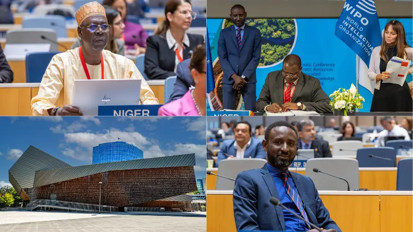 Photos at WIPO-related activities