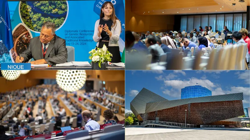 Photos at WIPO-related activities