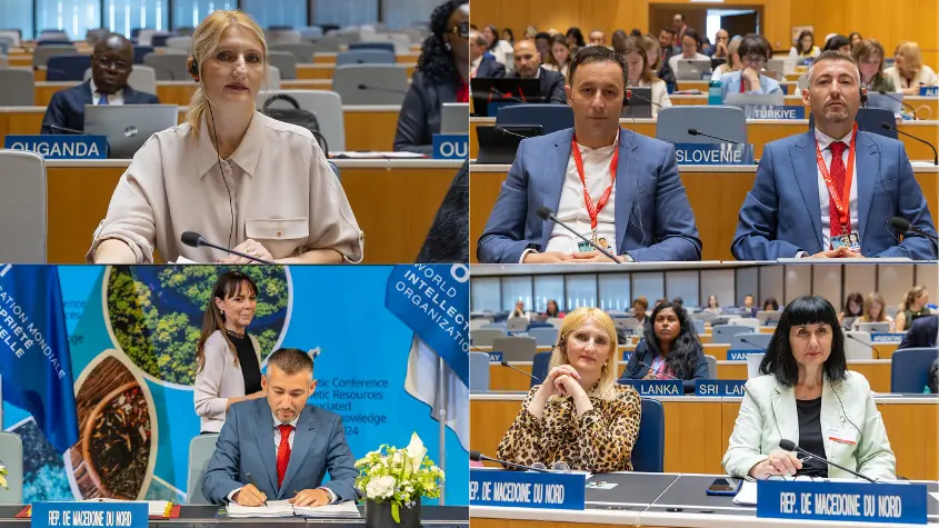 Photos at WIPO-related activities