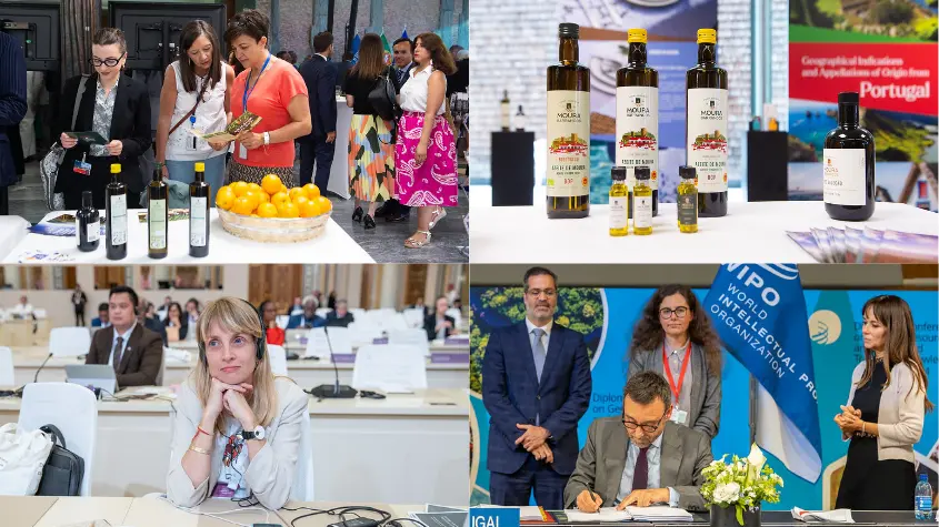 Photos at WIPO-related activities