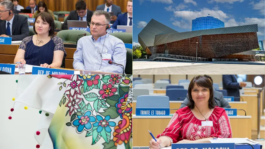 Photos at WIPO-related activities
