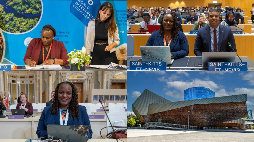 Photos at WIPO-related activities