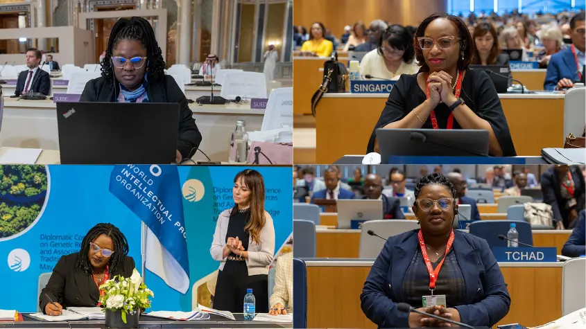 Photos at WIPO-related activities