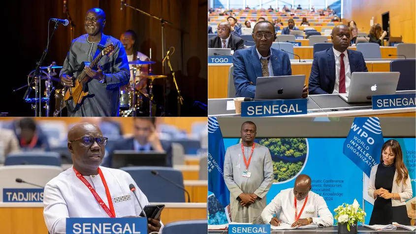 Photos at WIPO-related activities