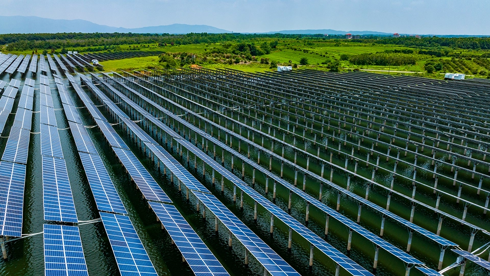 A field of solar panels