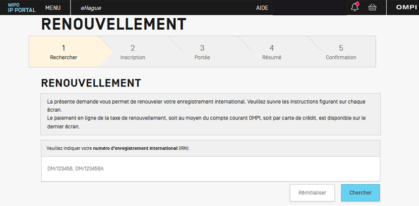 Screenshot of the eHague Renewal interface