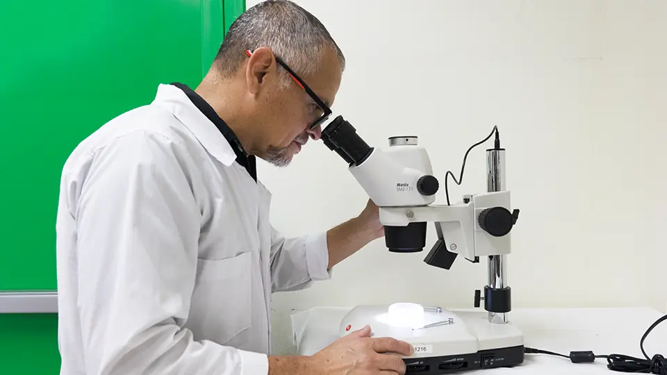 Corbana researcher with a microscope