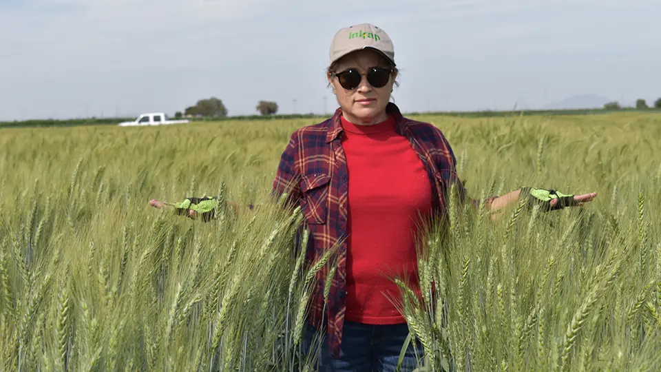 Gabriela Chávez Villalba in a field of wheat