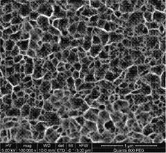 Honeycomb nanostructure