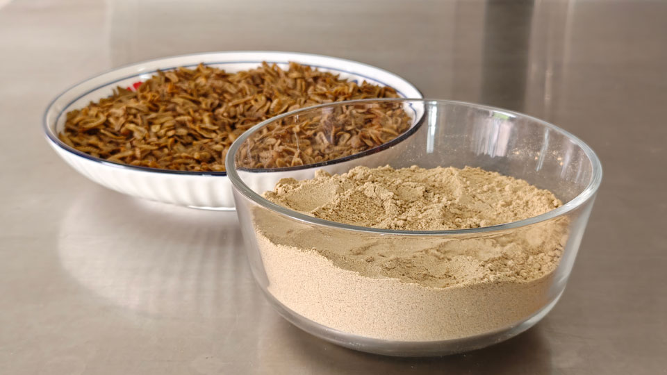 Glass bowl filled with light beige insect protein powder in the foreground, with a bowl of dried insects blurred in the background.