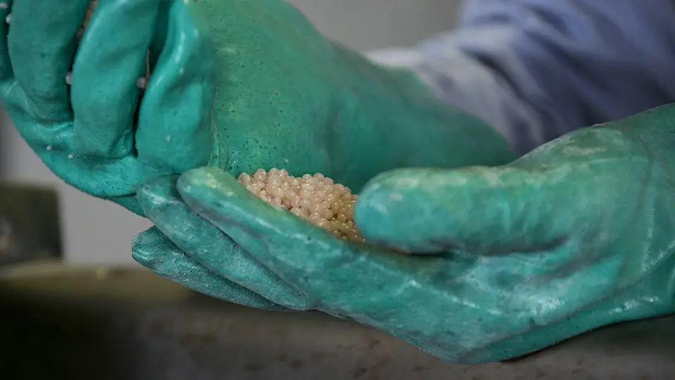 Mater Biopolymer