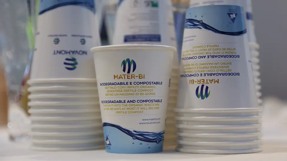 Mater Biopolymer glasses