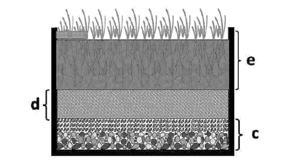 description: Jorge Delgado, inventor of STARI YAQUA