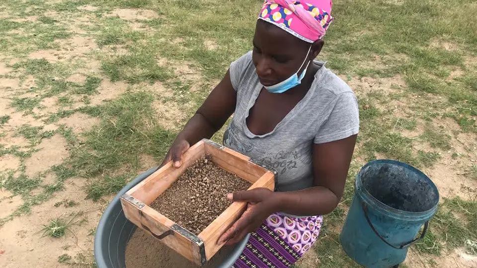 Les membres de WFS séparent les graines des débris