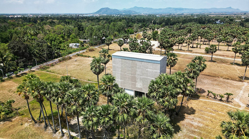 A tall concrete structure hosting bird nests in the middle of a palm tree field