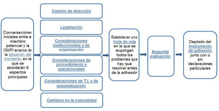 Flow chart of accession steps