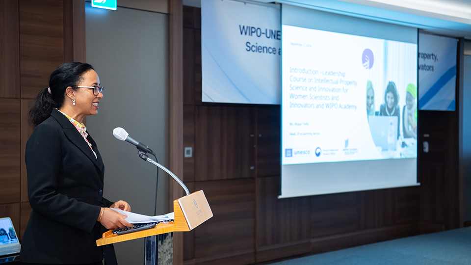 Presentation by WIPO Academy