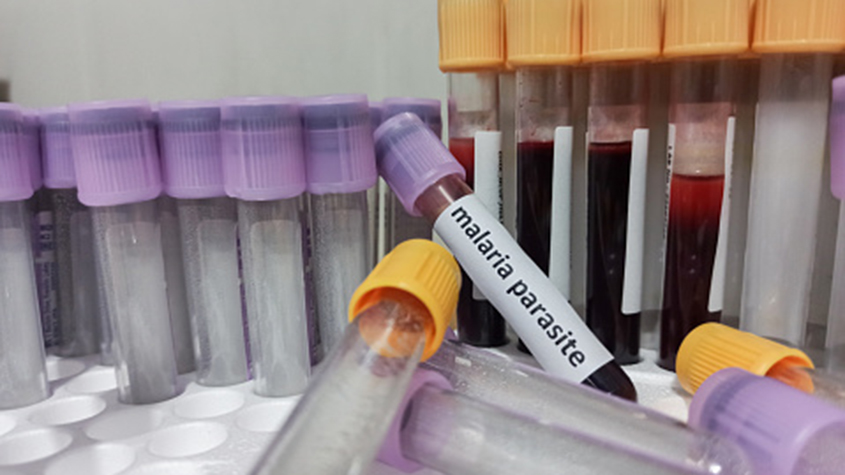 global-health-2023-news0005-2-845