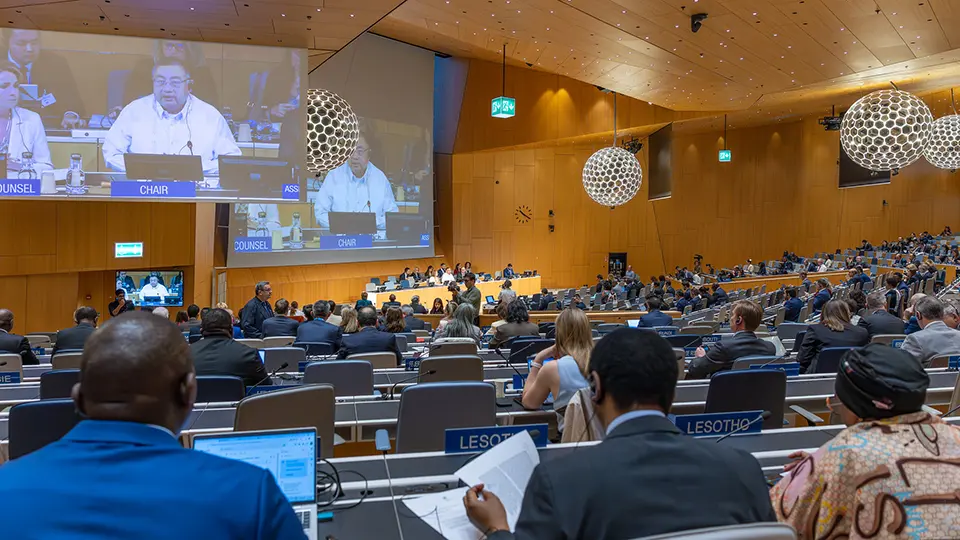 WIPO Assemblies
