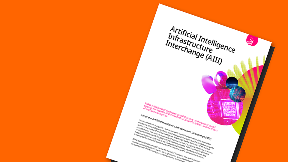 AIII Factsheet publication cover