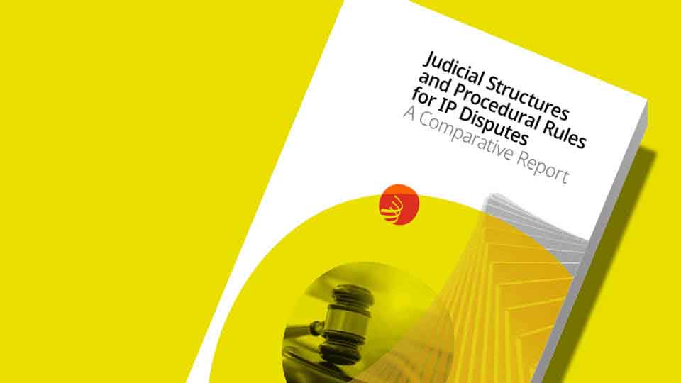 Une femme consultant la base de données sur les structures et procédures judiciaires en matière de propriété intellectuelle depuis un ordinateur portable