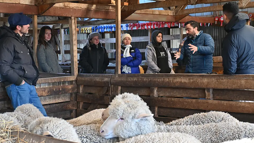 Three-day technical program on certification marks for stakeholders of the Magallanes wool industry