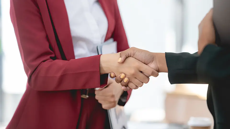 Businesswoman handshake with partner