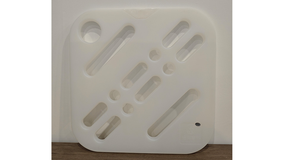 Energy Storage Module