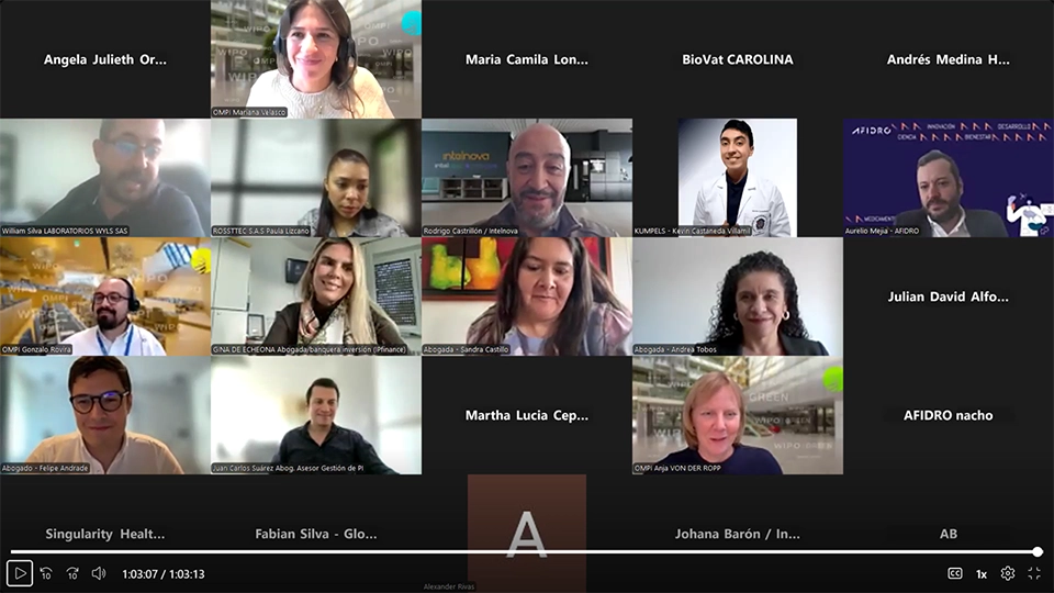 Screenshot of a virtual video conference showing a grid of participant thumbnails, including professionals from WIPO/OMPI, AFIDRO, and various law and pharmaceutical organizations