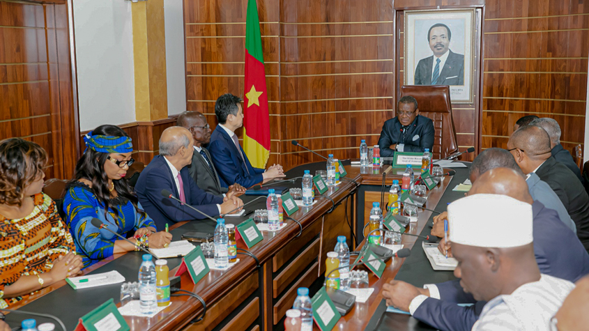 dg-visit-cameroon