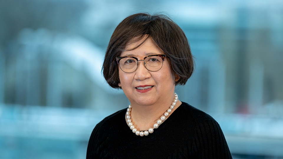 WIPO China Ensuring the Rule of Law in Intellectual Property Rights A
