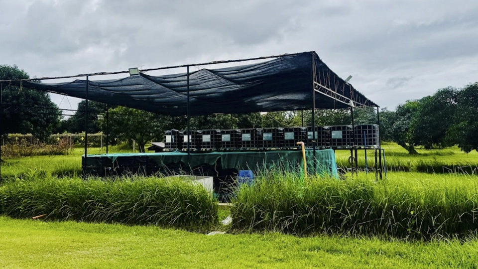PortaShip, Agritektura plug-and-play solution for aqua-farming 