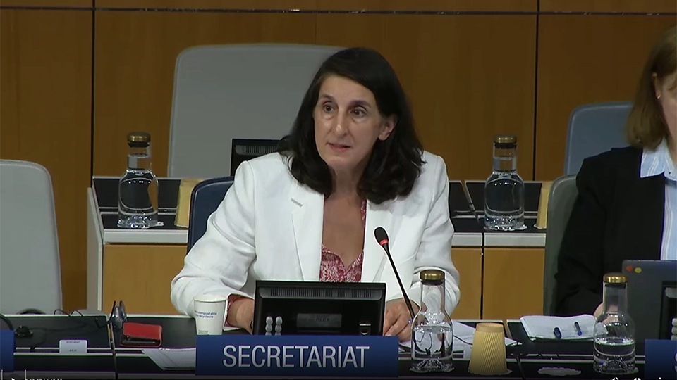 Ms. Monica Halil Lövblad addressing delegates during the Marrakesh Assembly speaking into a microphone from the podium.