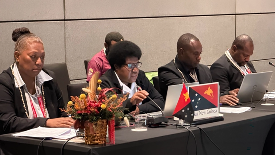 Conference delegates discussing IP development strategies at the Western Pacific HIPOC meeting in Port Moresby.