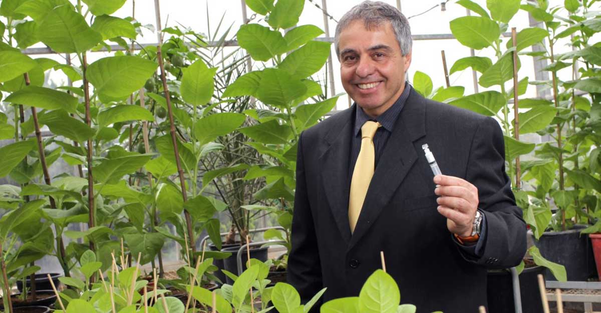 生物工程：释放自然界的宝藏