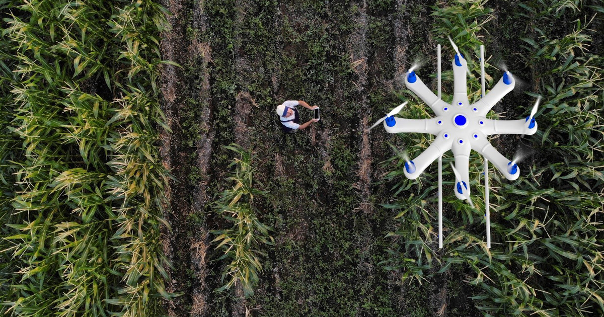 Livro de Tecnologias Verdes da OMPI: veja como enfrentar as mudanças climáticas