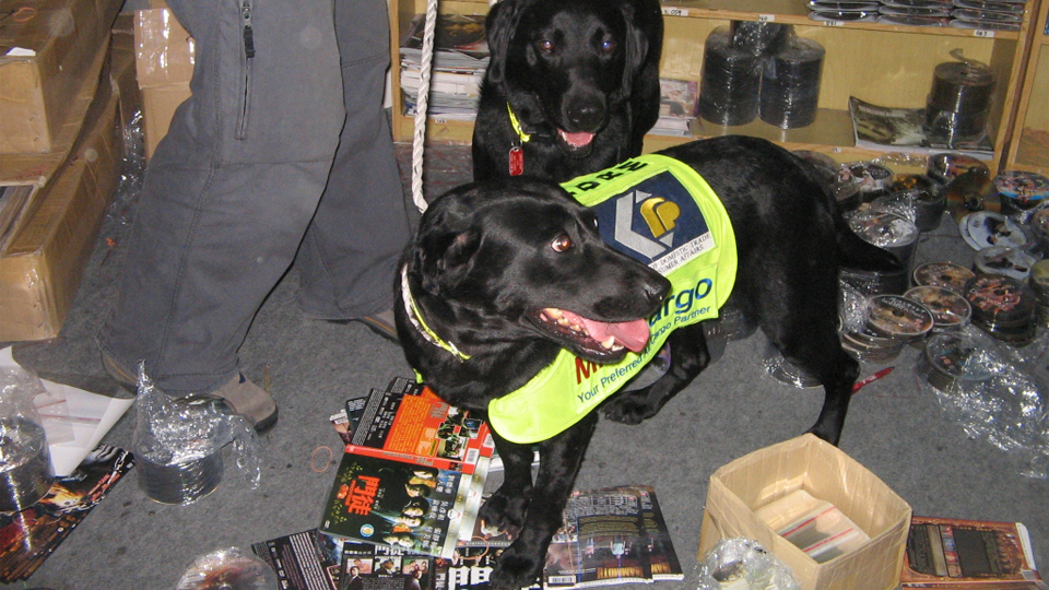 Hounding Out Piracy: Operation Double Trouble